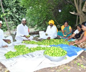 Indi Lime export to Oman showcases early gains of CEPA: Govt