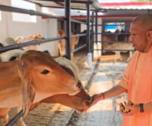 Yogi Adityanath’s Cow Welfare Routine Sparks Nationwide Debate Over Cow’s Status