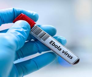 India Confirms Zero Ebola Cases While Expanding Global Aid Response; Health Ministry Issues Strict 21-Day Travel Advisory
