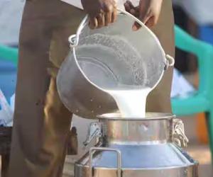 Milk Prices to Rise in Tamil Nadu and Mumbai as Dairy Costs Surge