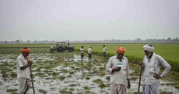 Haryana Releases ₹116 Crore Relief to Over 53,000 Farmers Hit by Kharif ...